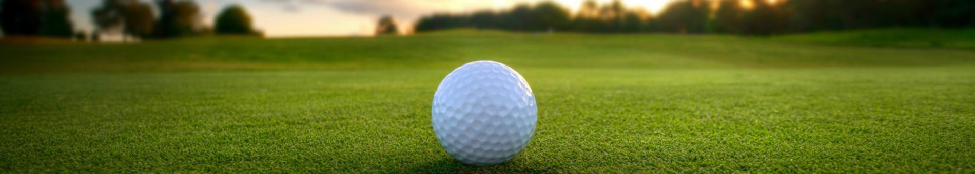 Landscape photo of golf ball and grass